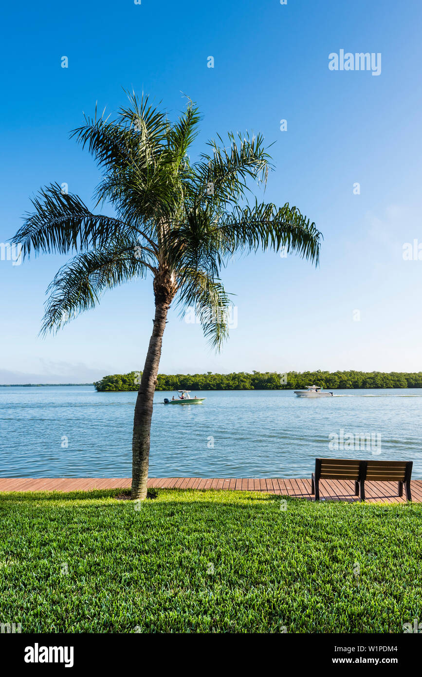 Parkbank und Palm Tree Ostego Bucht mit Blick auf die Wasserstraße, Fort Myers Beach, Florida, USA Stockfoto