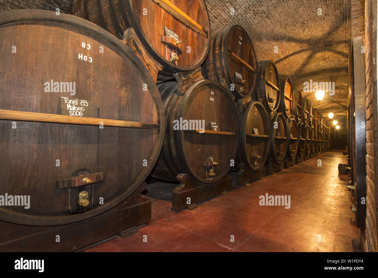 Große Eiche Weinfass in Bodega, Mendoza, Argentinien. Weinmuseum Stockfoto