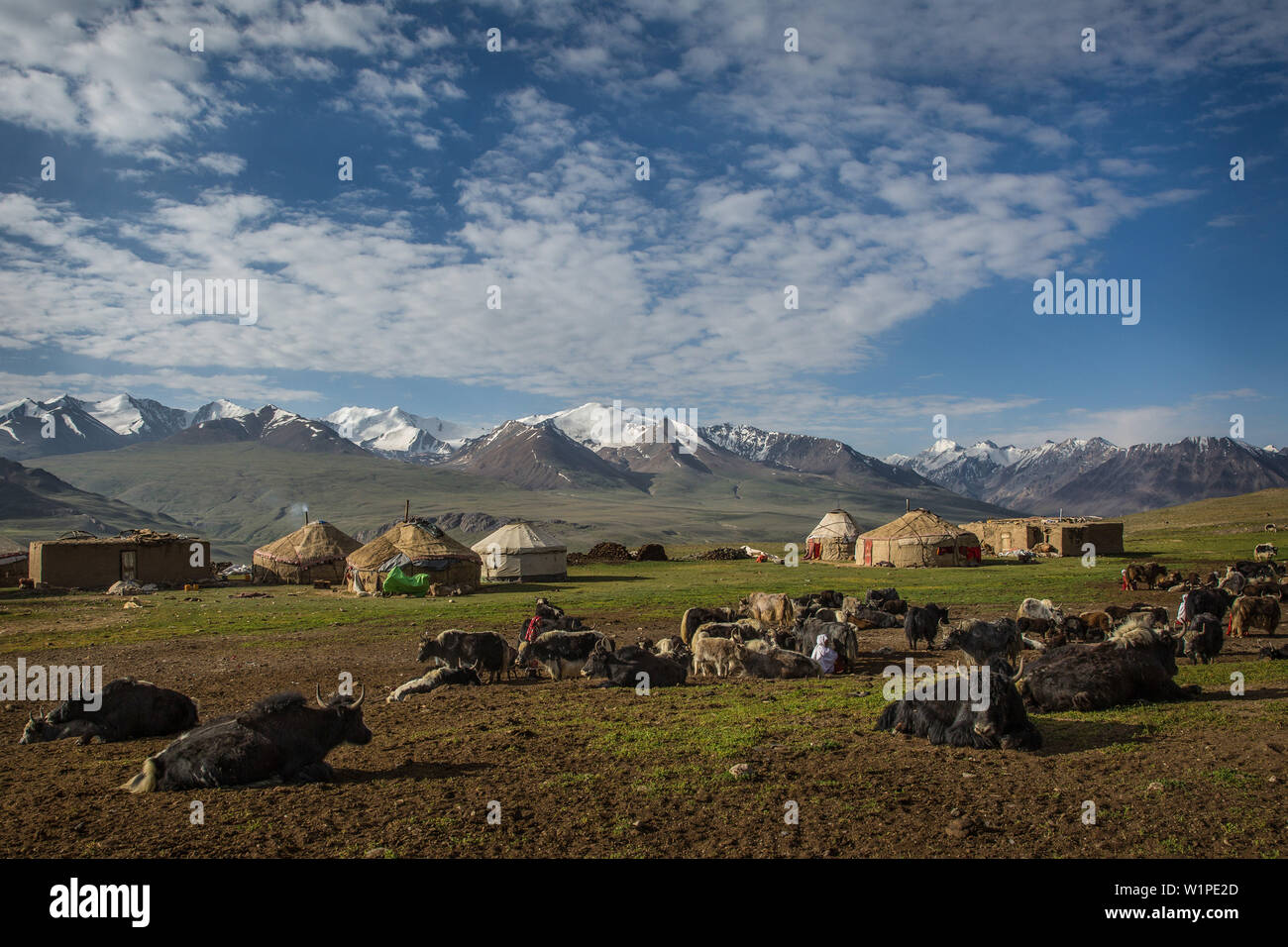 Khash Goz Dorf mit Jurten und Yaks, Afghanistan, Pamir, Asien Stockfoto