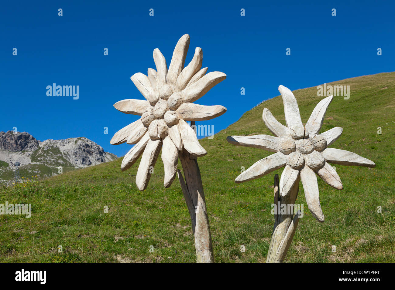 Hölzerne Skulptur Edelweiss am Nebelhorn, in der Nähe von Oberstdorf, Allgäuer Alpen, Allgäu, Bayern, Deutschland Stockfoto