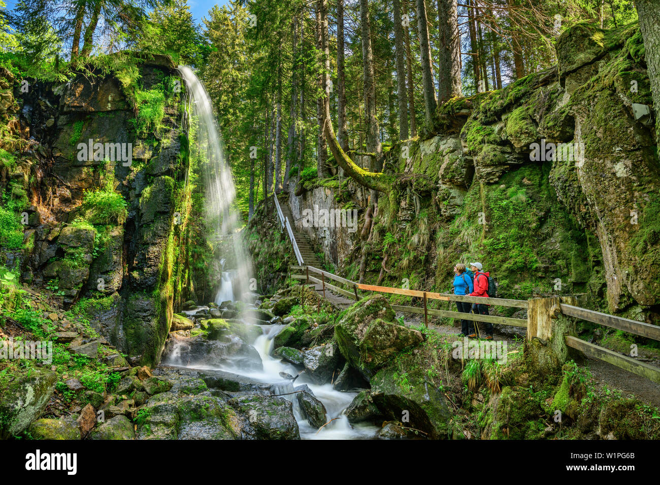Zwei Personen stehen auf Trail und Blick auf den Wasserfall in Menzenschwand Menzenschwand, Wasserfall, Albsteig, Schwarzwald, Baden-Wuerttemberg, Ger Stockfoto