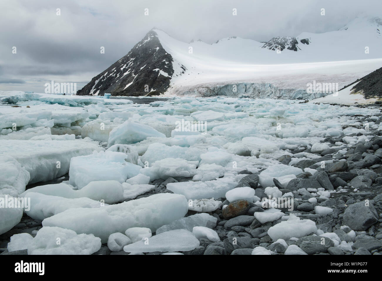 Meereis spült am Ufer in einer Bucht seitig von mittleren schneebedeckte Berge, Base Orcadas, South Orkney Inseln, Antarktis Stockfoto