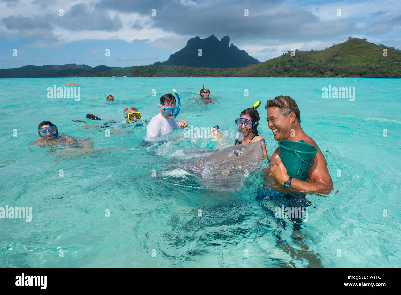 Touristen schwimmen mit und füttern die Stachelrochen (Unterordnung Myliobatoidei, um Myliobatiformes) während einer Bootsfahrt in der Lagune, Bora Bora, Gesellschaft Stockfoto