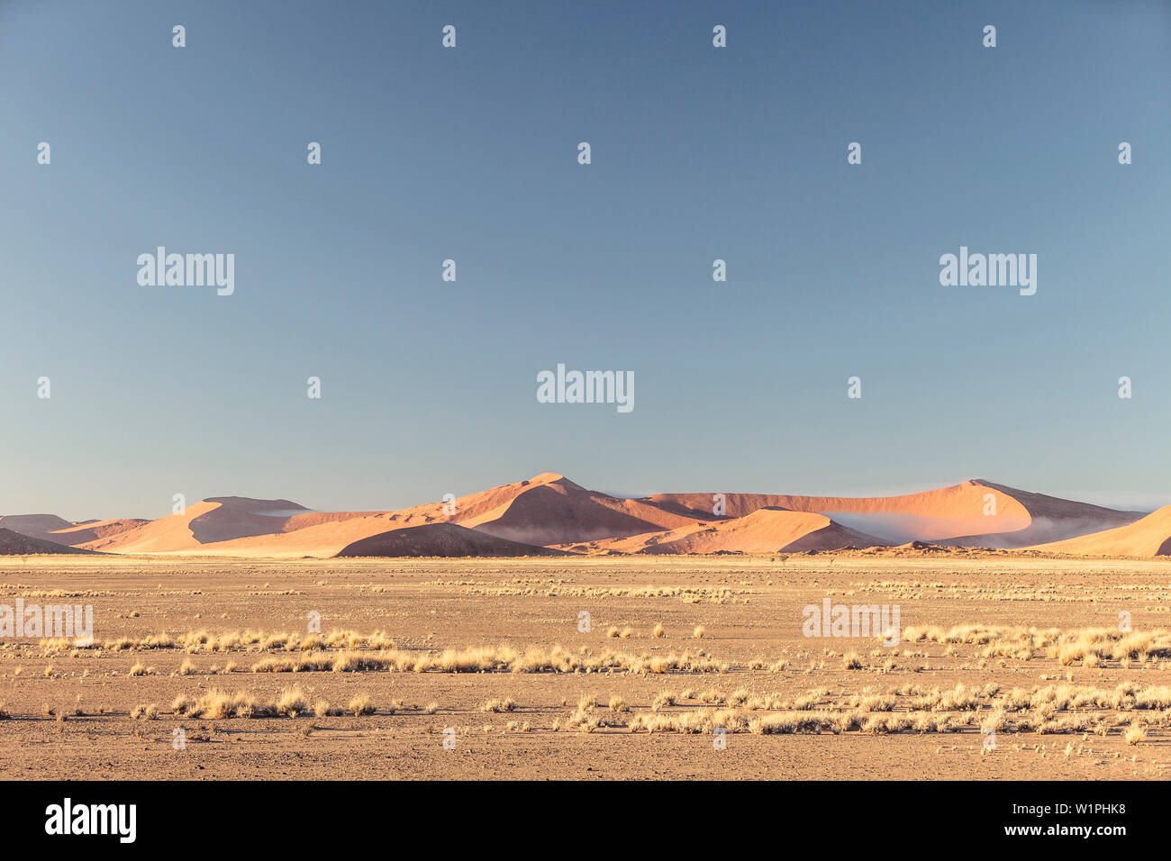 Morgen Nebel zwischen den Dünen von Sossusvlei nach einer kalten Nacht, Namib Naukluft National Park, Hardap, Namibia, Afrika. Stockfoto