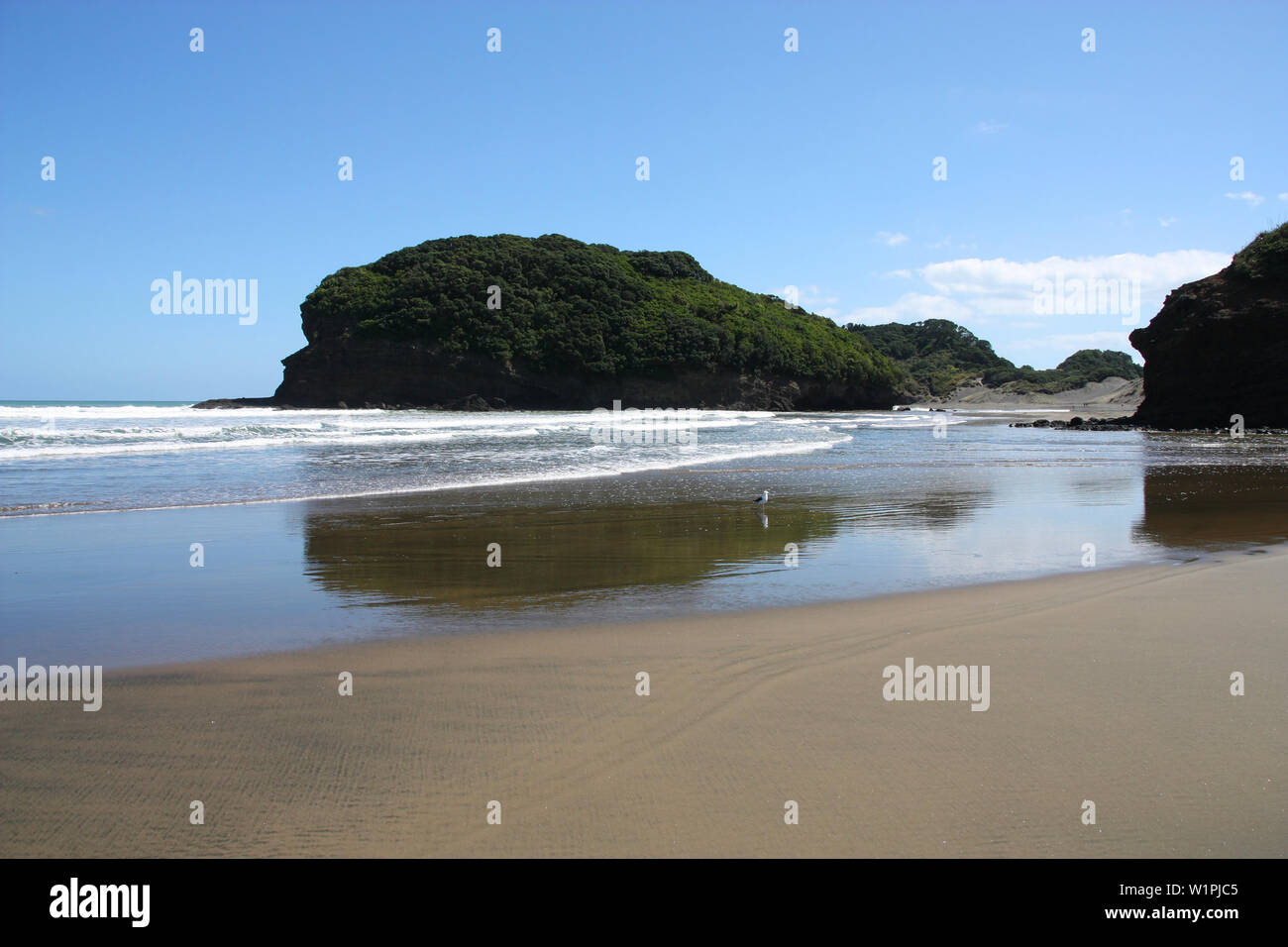 Te Henga - Bethells Beach in der Nähe von Auckland, Neuseeland. Tasmanische See. Stockfoto