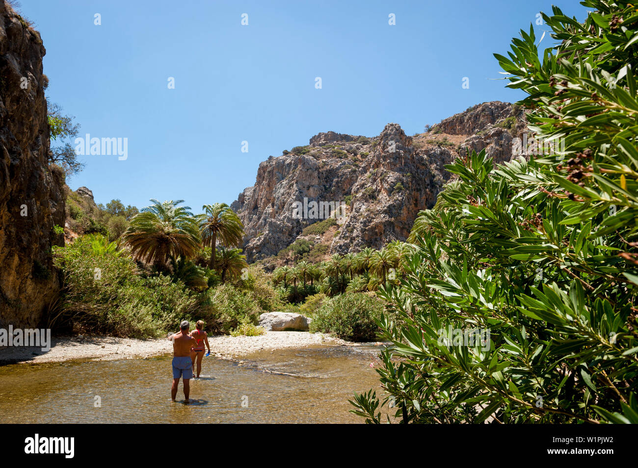 Palmen gesäumten Fluss, Canyon, Preveli, Kreta, Griechenland, Europa Stockfoto