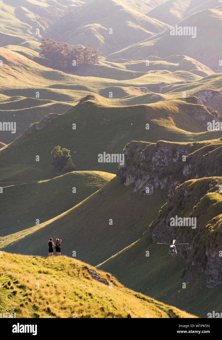 Hastings, Napier, Falken Bay, North Island, Neuseeland, Ozeanien Stockfoto