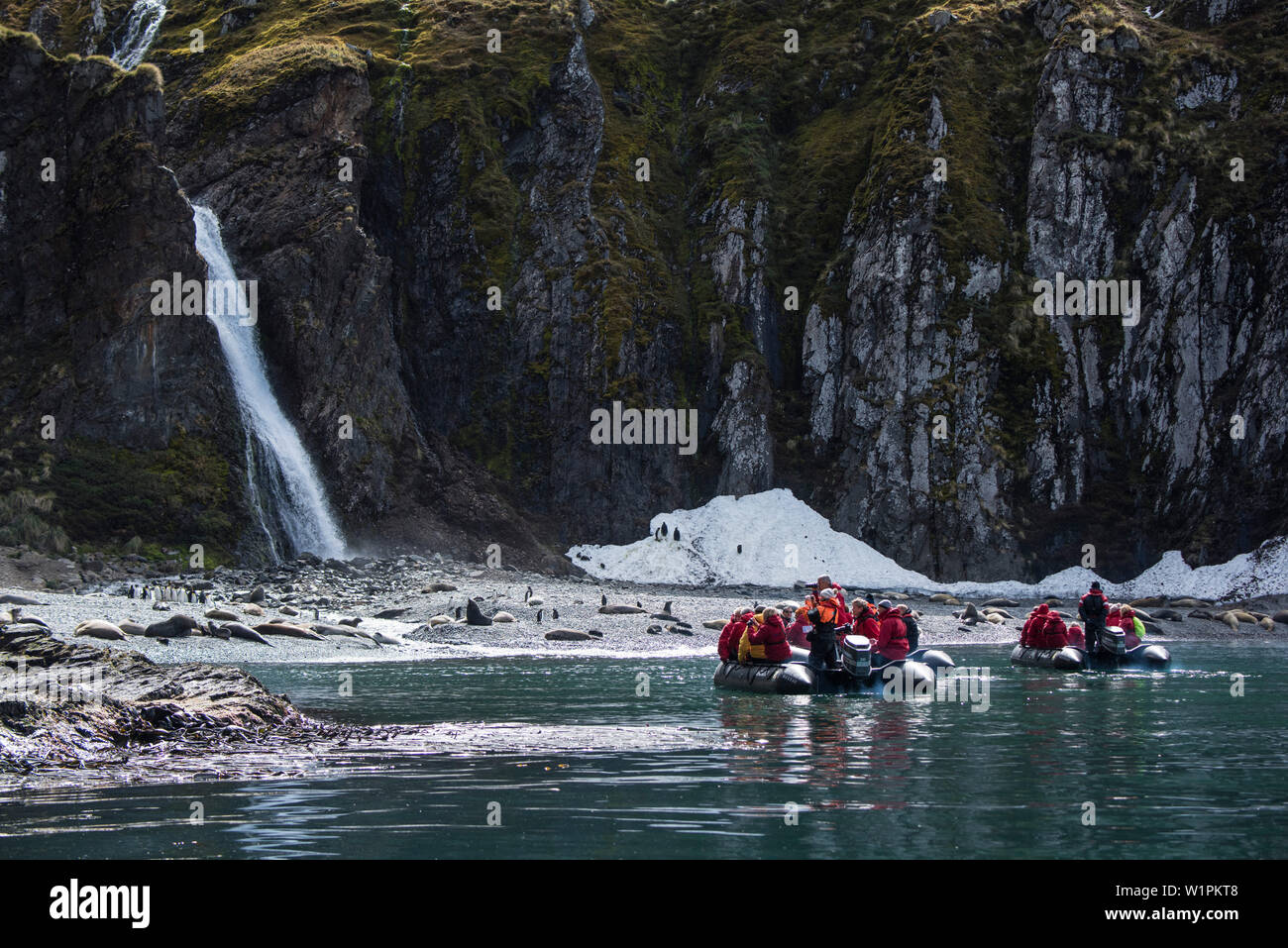 Die Passagiere von einer Expedition Kreuzfahrtschiff in Zodiac Schlauchboot Schlauchboote boote Ansatz ein Strand mit einer prominenten Wasserfall, Pinguine, Antarktische Pelzrobben (festzusetzen. Stockfoto