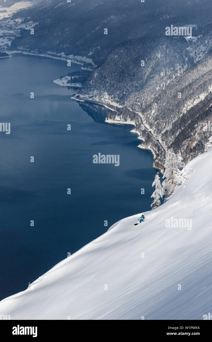 Junge Frau Skier unten ein Pulver Hang am Bärenkopf, Pertisau, Tirol, Österreich Stockfoto