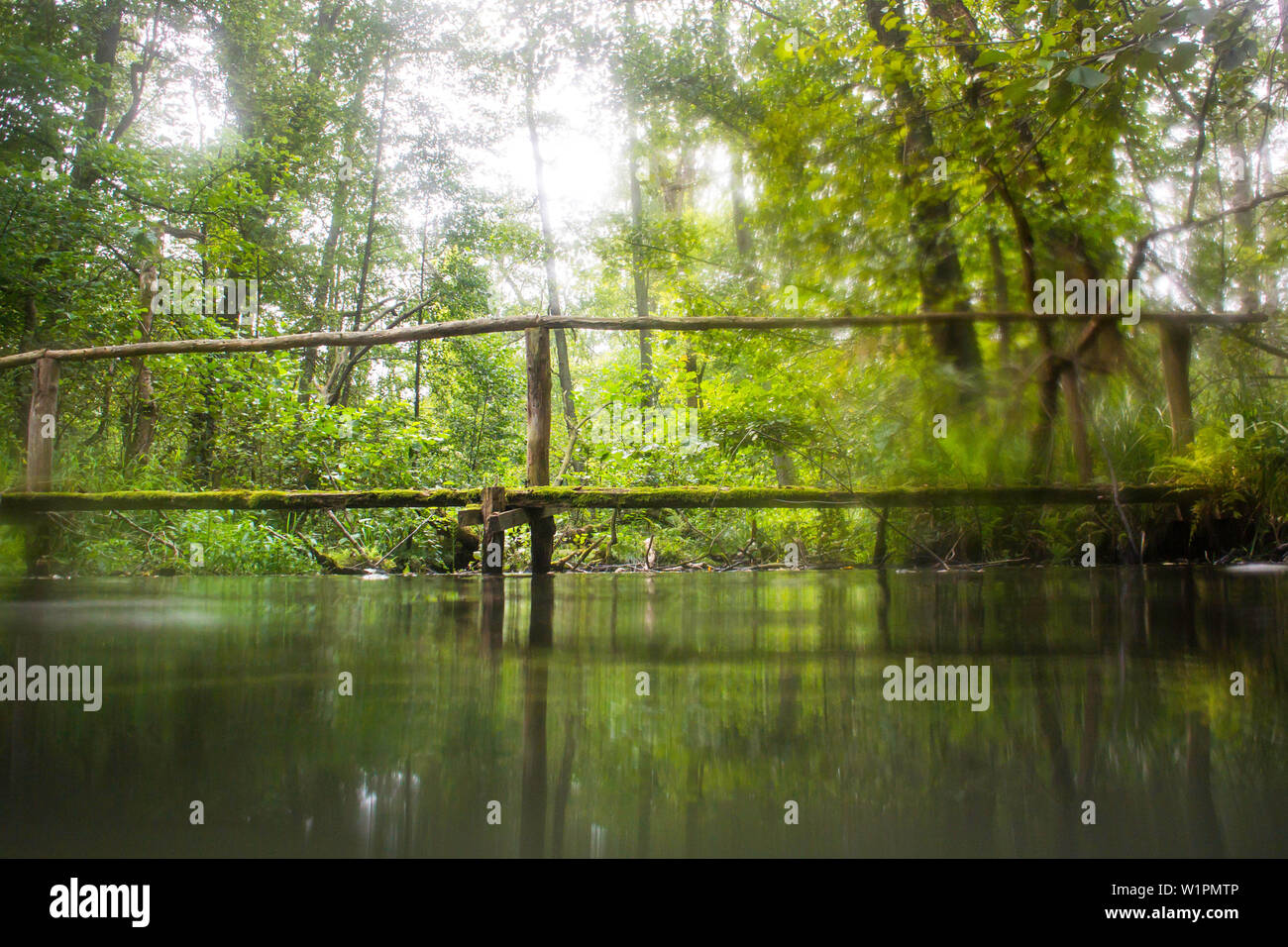 Biosphärenreservat Spreewald, Deutschland, Wandern, Kajakfahren, Erholungsgebiet, Familienurlaub, Familienausflug, Paddeln, Rudern, Wüste, Ausflug, Tag Stockfoto