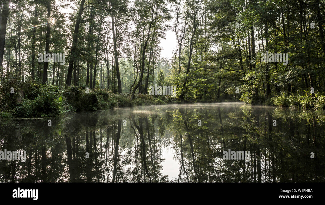 Biosphärenreservat Spreewald, Deutschland, Wandern, Kajakfahren, Erholungsgebiet, Familienurlaub, Familienausflug, Paddeln, Rudern, Wüste, Ausflug, Tag Stockfoto