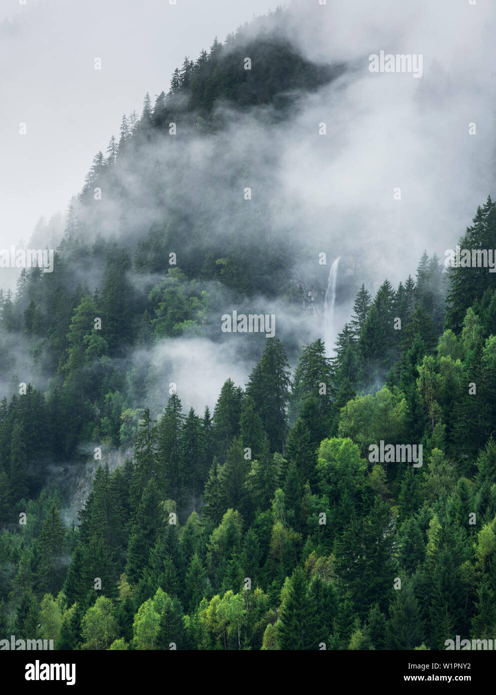 Wasserfall im Stubaital, Stubaier Alpen, Tirol, Österreich Stockfoto