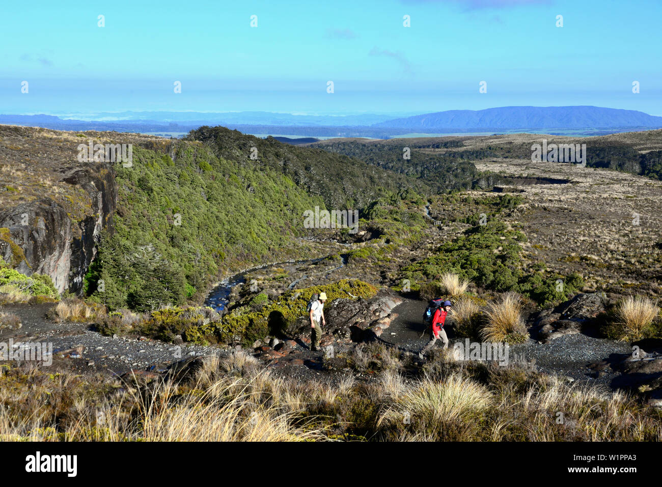 Taranki fällt, Tongariro National Park, North Island, Neuseeland Stockfoto
