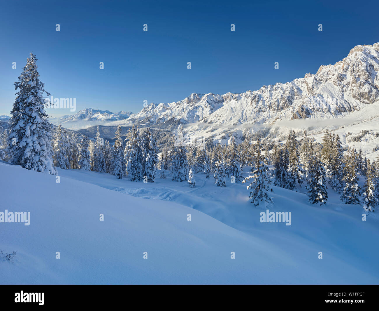 Blick Vom Kollmannsegg bewegende Steinernes Meer, Leoganger Steinberge, Pinzgau, Salzburg, Österreich Stockfoto