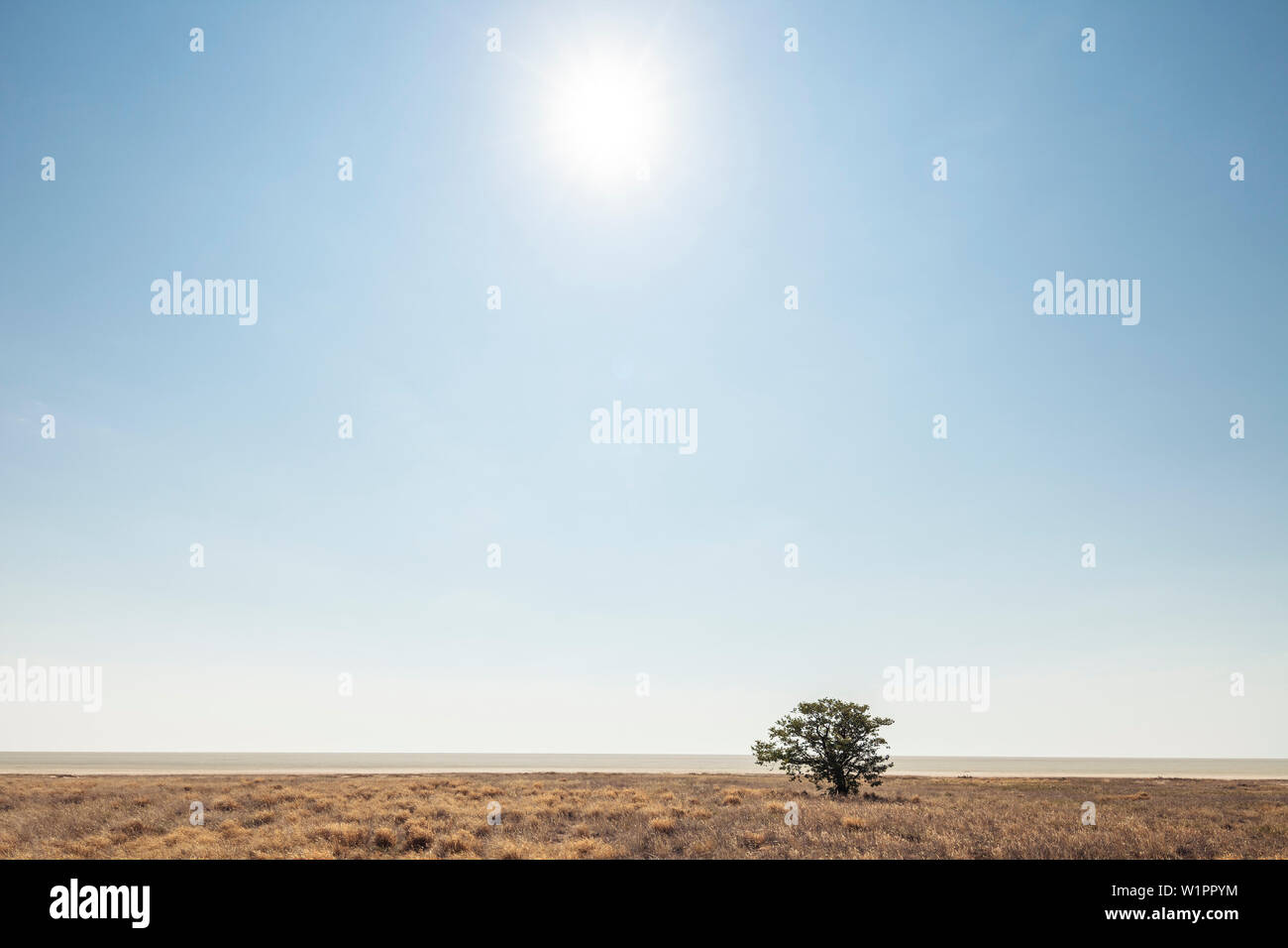 Die pralle Sonne über der Etosha Pfanne im Etosha National Park, Namibia, Afrika Stockfoto