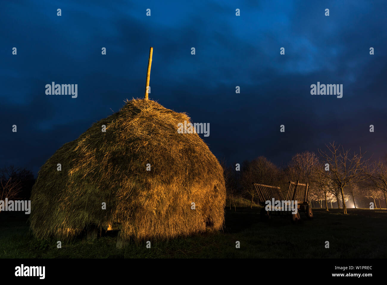 Biosphärenreservat Spreewald, Brandenburg, Deutschland, Kajak, Erholungsgebiet, Familienurlaub, Familienausflug, Wüste, Tagesausflug, Weide, Winter Nig Stockfoto