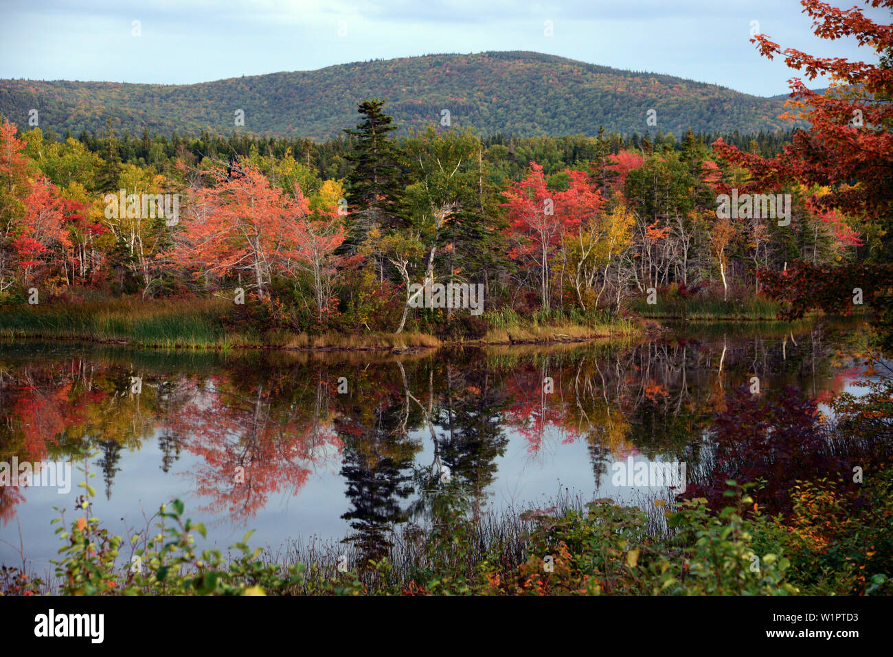 Indian Summer in der Nähe von Dingwall, Nordkap, Cape Breton Island, Nova Scotia, Kanada Stockfoto