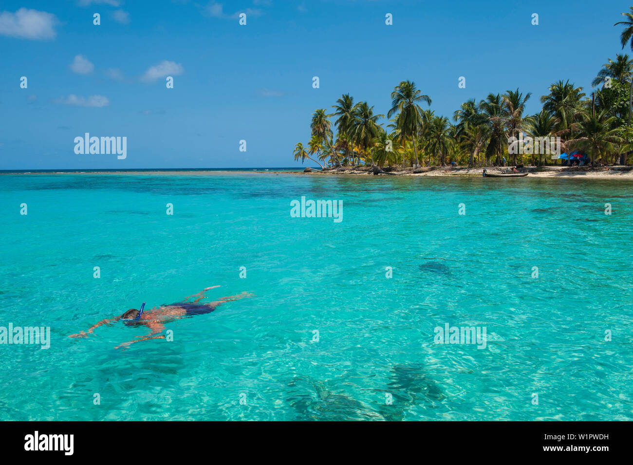 Ein schnorchler schwimmt in das türkisfarbene Wasser vor der Küste eine kleine Palmen übersäten Insel, San Blas Inseln, Panama, Karibik Stockfoto