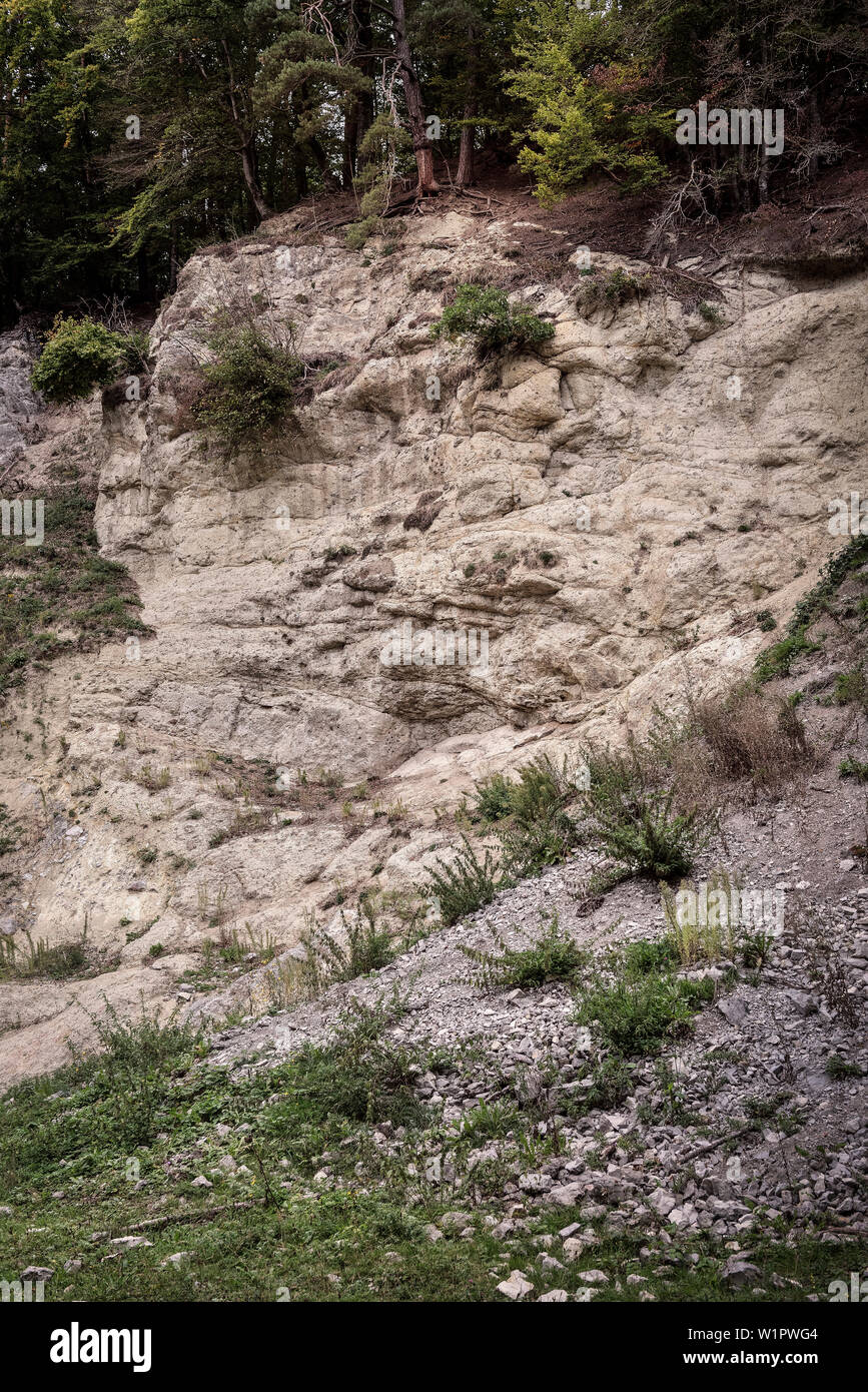 Suevit Felsen im Steinbruch von Altenbuerg, GEO Park Noerdlinger Ries, Nördlingen, Bayern, Deutschland Stockfoto