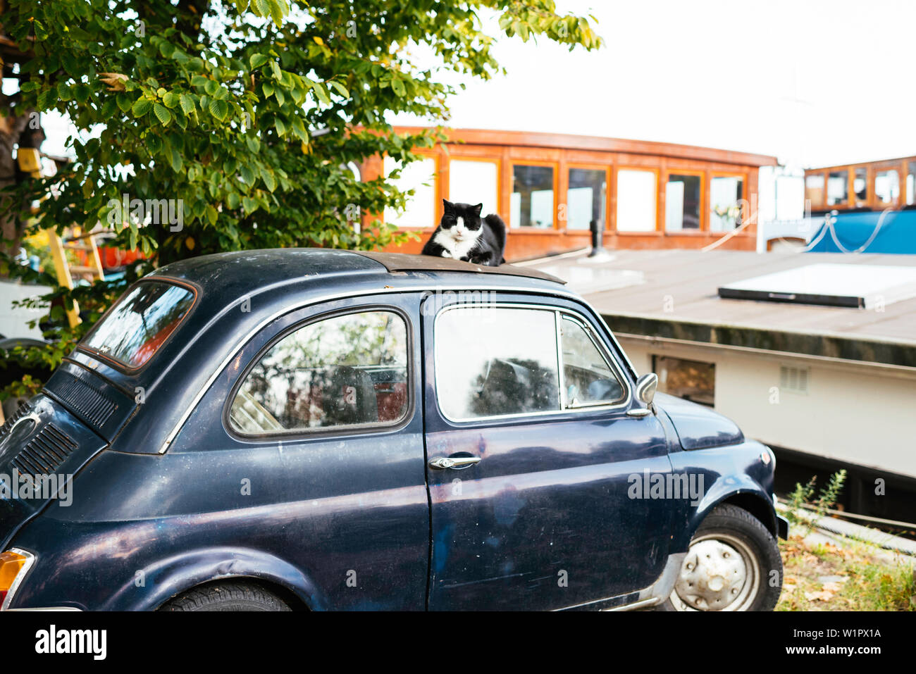 Katze liegt auf dem Dach eines alten Auto vor der alten Lastkahn, im Zentrum von Amsterdam, Niederlande, Europa Stockfoto