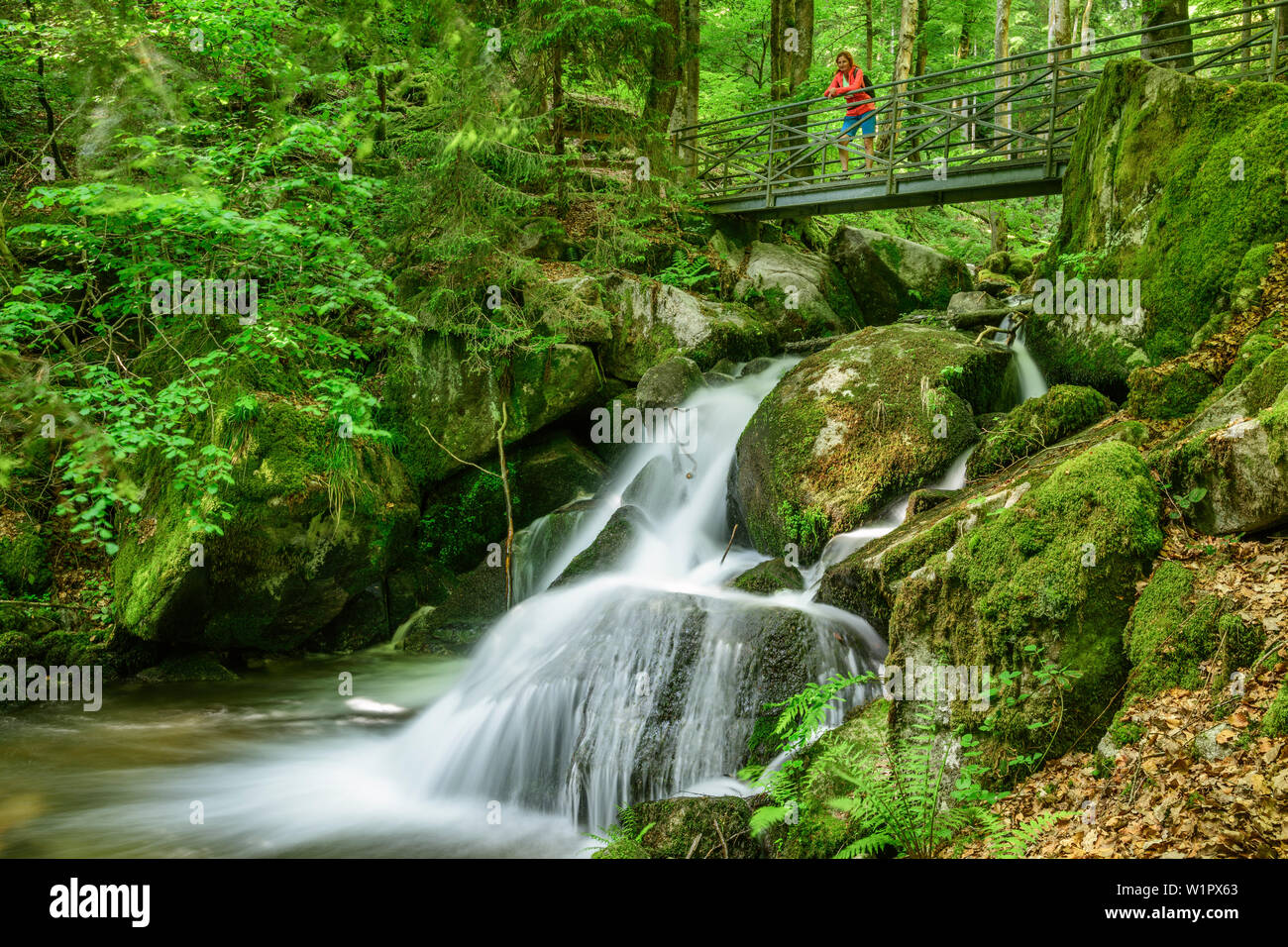 Frau wandern stehen auf Brücke und Blick auf den Wasserfall, Wasserfall, Hoellbach Albsteig, Schwarzwald, Baden-Württemberg, Deutschland Stockfoto