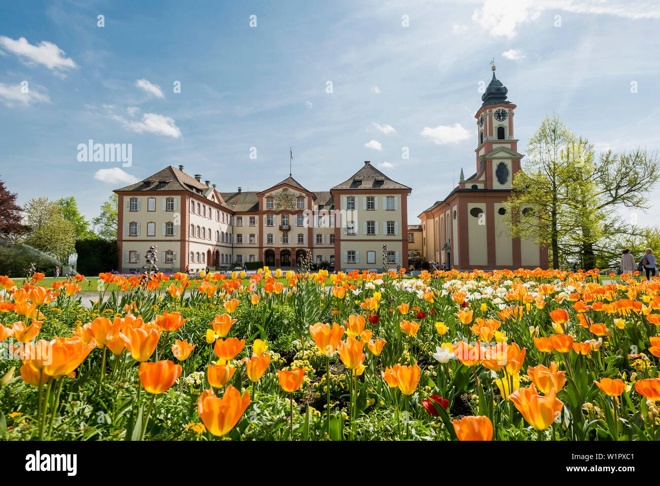 Schloss und Schlosskirche, Tulpen in Front, Insel Mainau, Baden-Württemberg, Deutschland Stockfoto