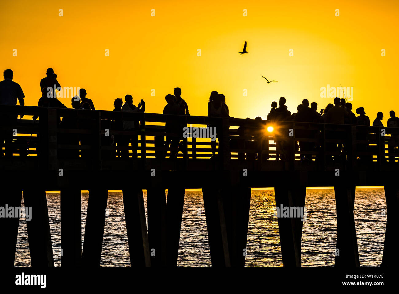 Silhouette Menschen auf der beliebten öffentlichen Naples Pier bei Sonnenuntergang am Golf von Mexiko, Naples, Florida, USA Stockfoto