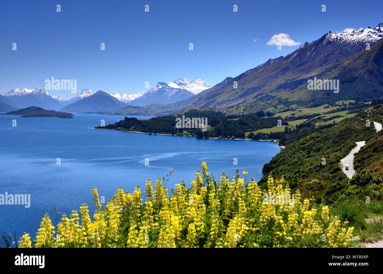 Am Wakatipu See in der Nähe von Burnie, Südinsel, Neuseeland Stockfoto