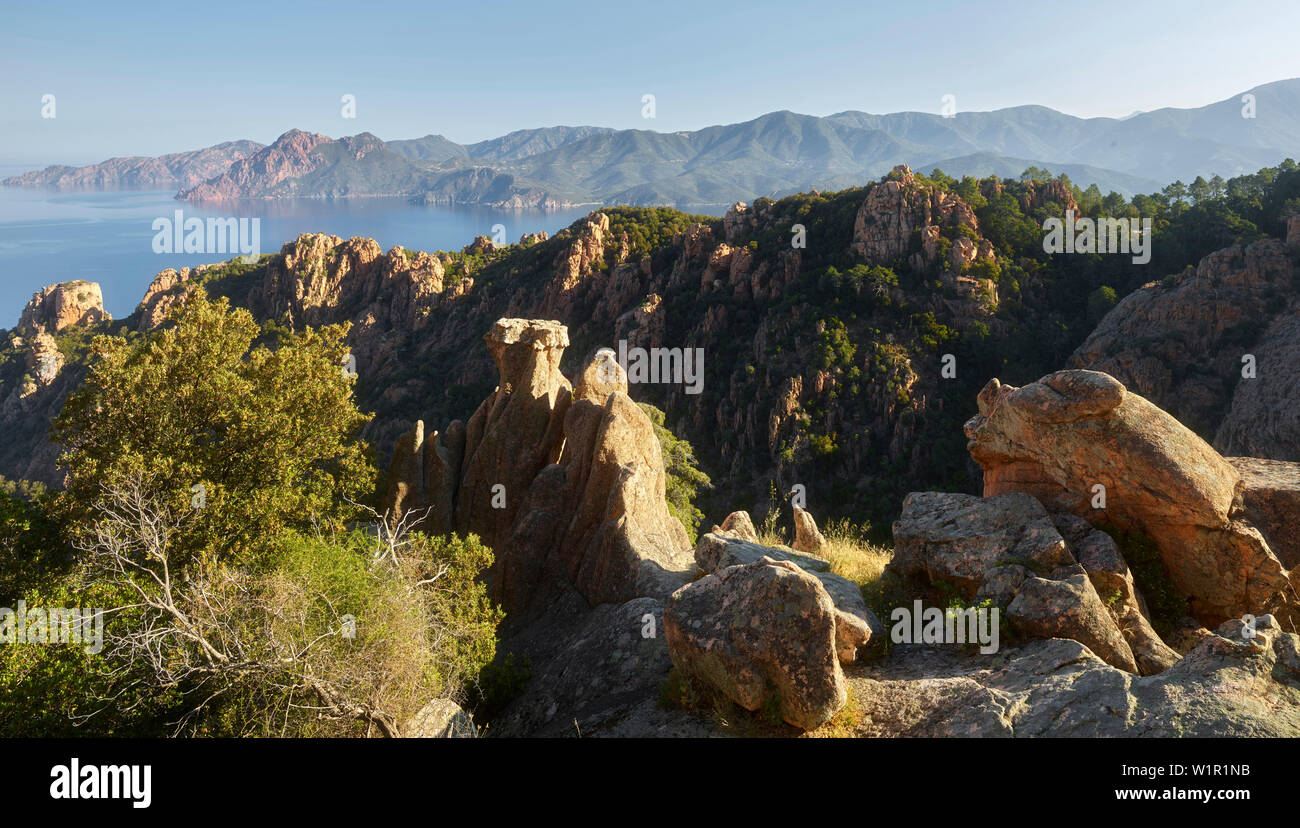 Les Calanques de Piana, Golfe de Porto, Korsika, Frankreich Stockfoto