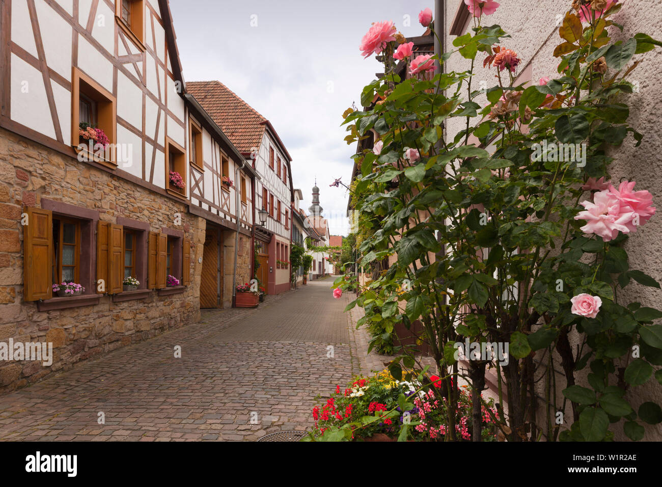 Straße in der Altstadt, Bad Bergzabern, Pfälzer Wald, Rheinland-Pfalz, Deutschland Stockfoto