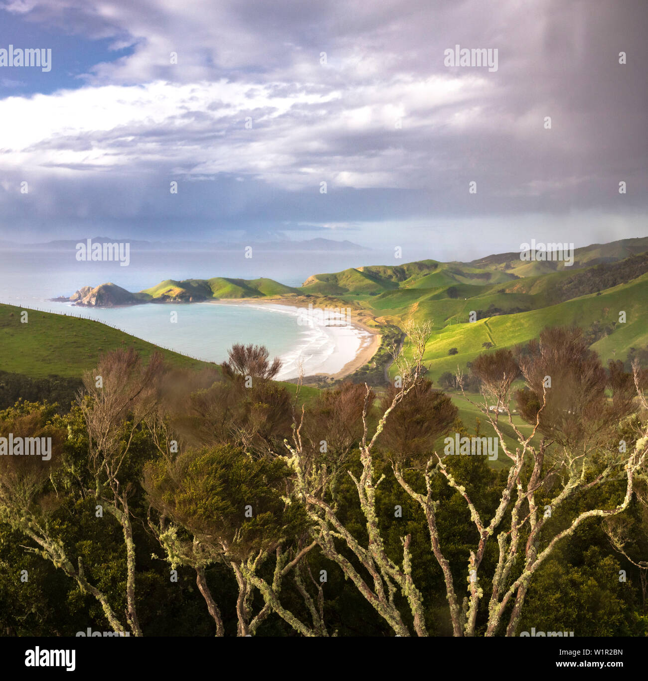 Port Jackson, Coromandel, Hauraki Gulf, Thames-Coromandel Bezirk, Coromandel Halbinsel, North Island, Neuseeland, Ozeanien Stockfoto