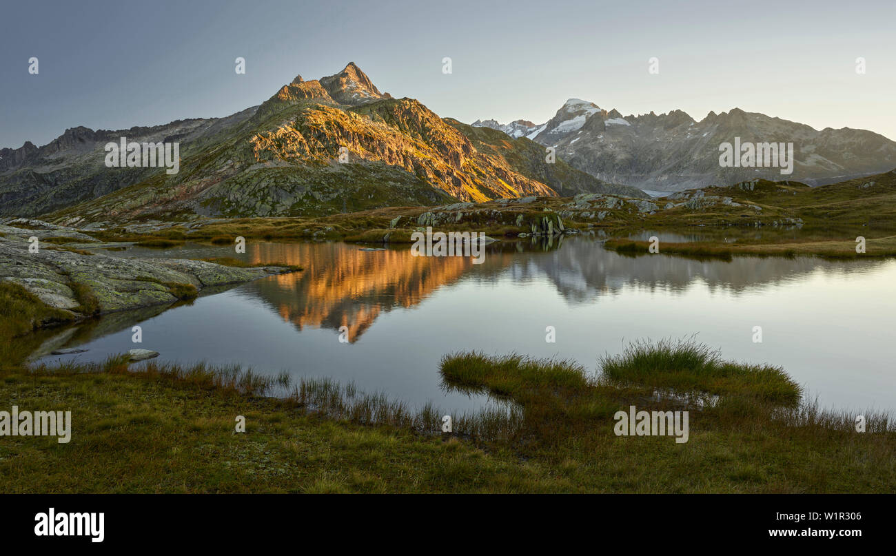 Gärstenhörner, Gross Furkahorn, Grimselpass, Urner Alpen, Berner Oberland, Schweiz Stockfoto