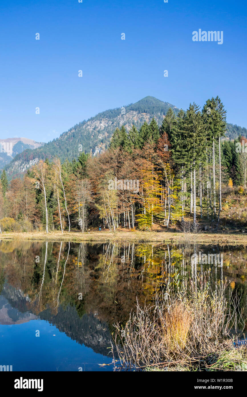 Moor See mit Wasser Reflexion im Herbst, Alpen, Nebelhorn, Allgaeu, Oberallgaeu, Oberstdorf, Deutschland Stockfoto