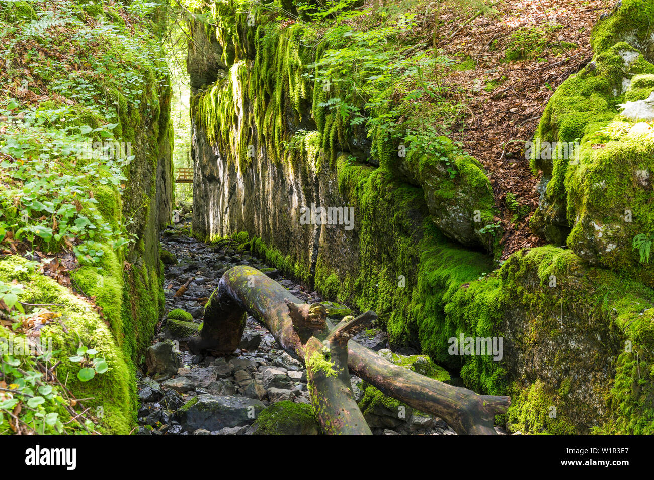 Kammersee-Channel zwischen See Toplitzsee und Kammersee, um 1550 erbaut, Bad Aussee, Steiermark, Österreich, Europa Stockfoto