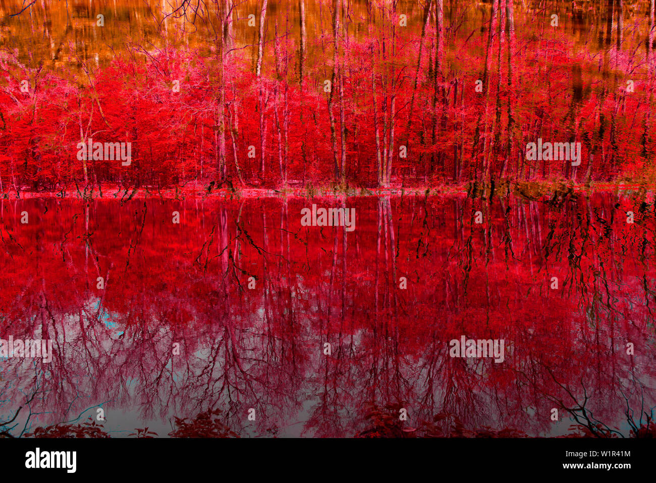Schönen Herbst künstlerischen Hintergrund Stockfoto