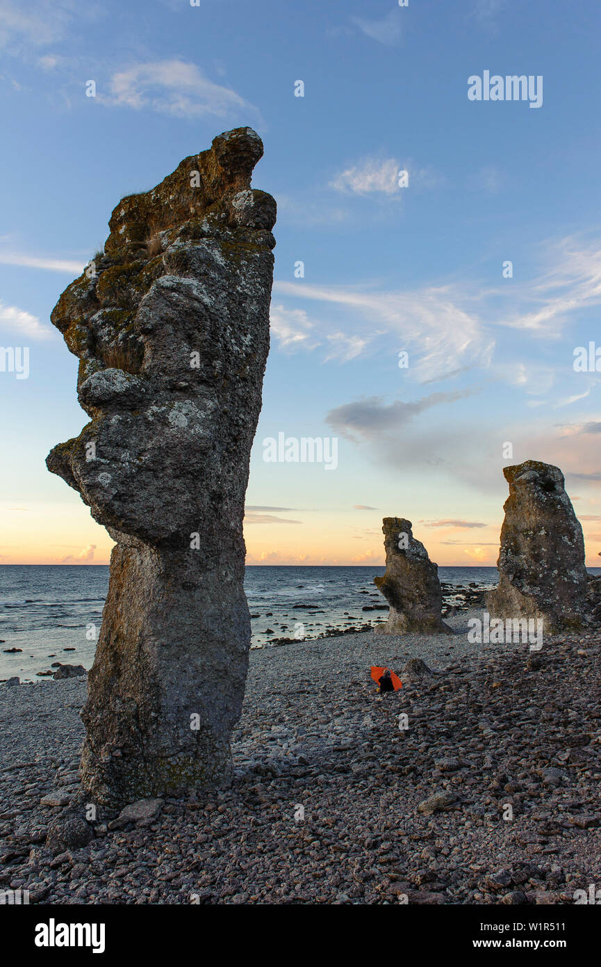 Rock Küste Färöer genannt Raukar, raukar sind bis über 10 m hohe Kalksteinsäulen auf Gotland/Färöer Insel gefunden. Kind mit Regenschirm an der Bea Stockfoto