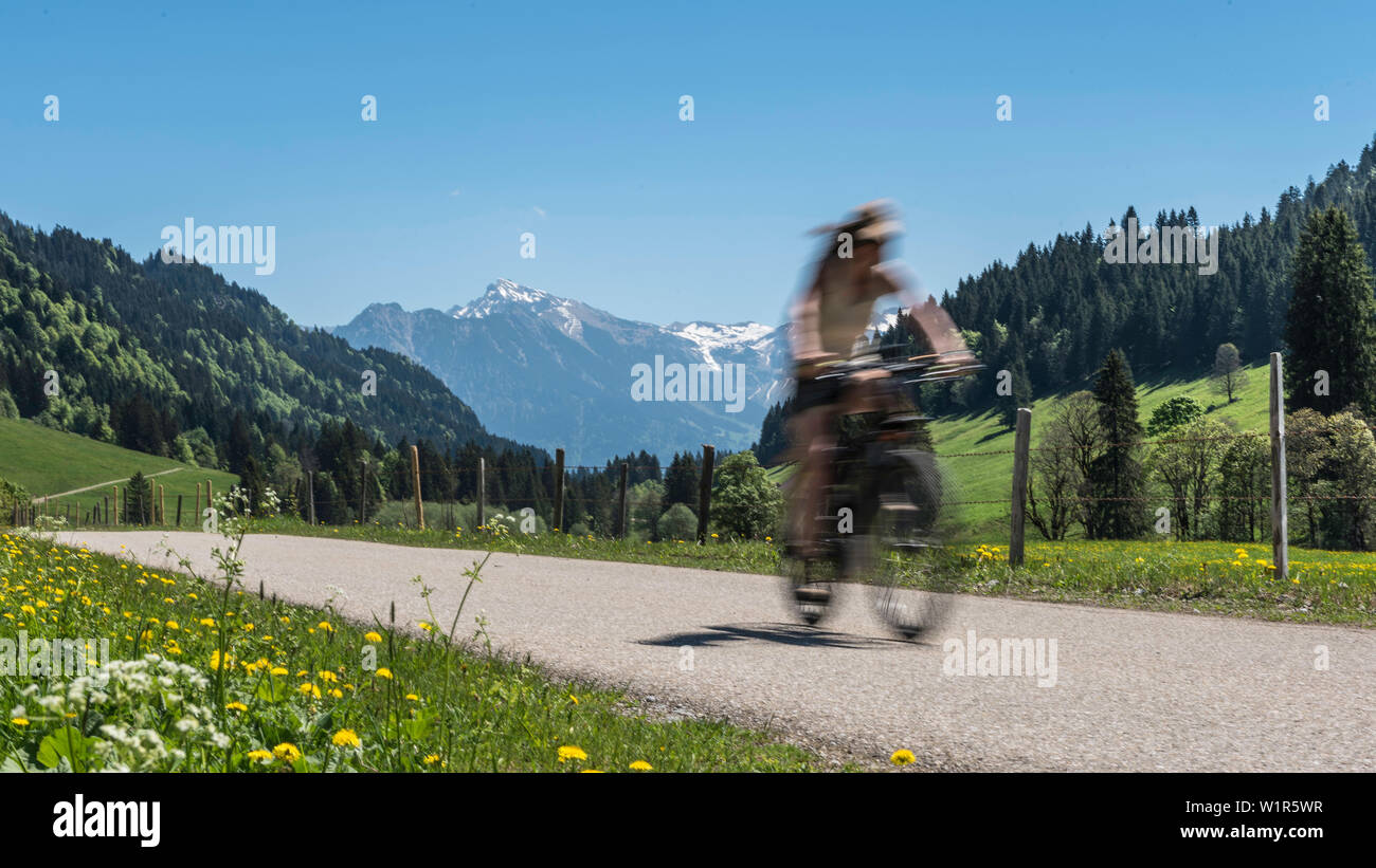 Deutschland, Bayern, Alpen, Oberallgaeu, Oberstdorf, Rohrmoos, Sommer, Sommerferien, Mountainbiken in den Bergen, Bergpanorama in t Stockfoto