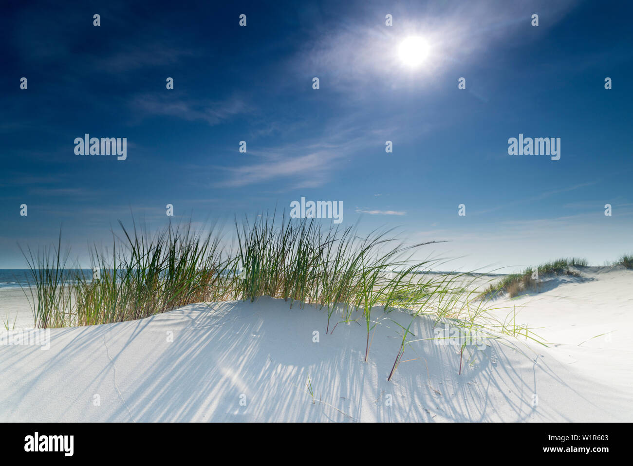 Sand Dune, Himmel, Sonne, Spiekeroog, Nordsee, Ostfriesische Inseln, Ostfriesland, Niedersachsen, Deutschland, Europa Stockfoto