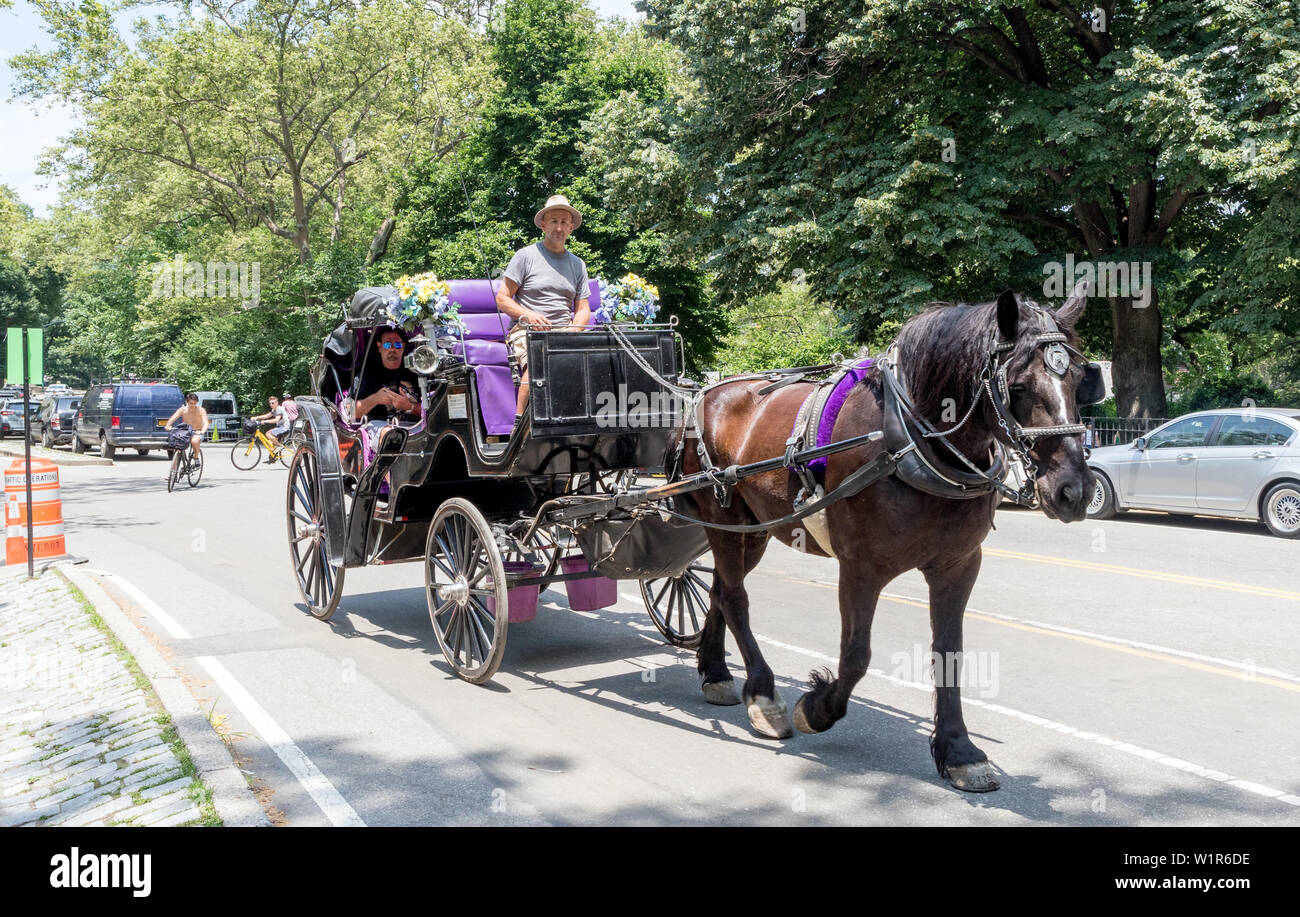 Pferd und Wagen im Central Park in New York USA Stockfoto