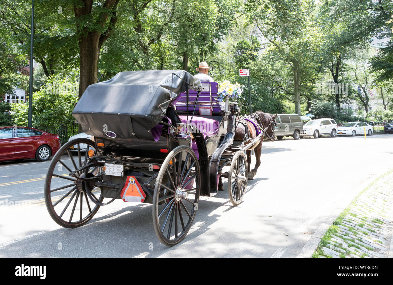 Pferd und Wagen im Central Park in New York USA Stockfoto