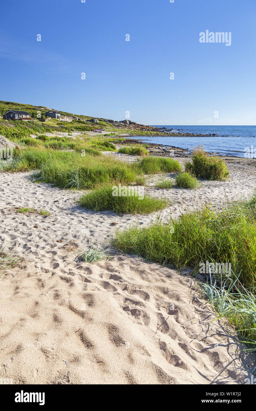 Strand in der Nähe von Falkenberg, Halland, Süd Schweden, Schweden, Skandinavien, Nordeuropa, Europa Stockfoto