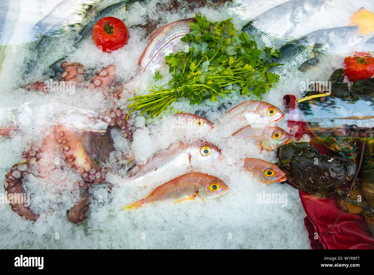 Meeresfrüchte auf Eis am Fischmarkt. Frische und rohe Fische auf Eis. Stockfoto