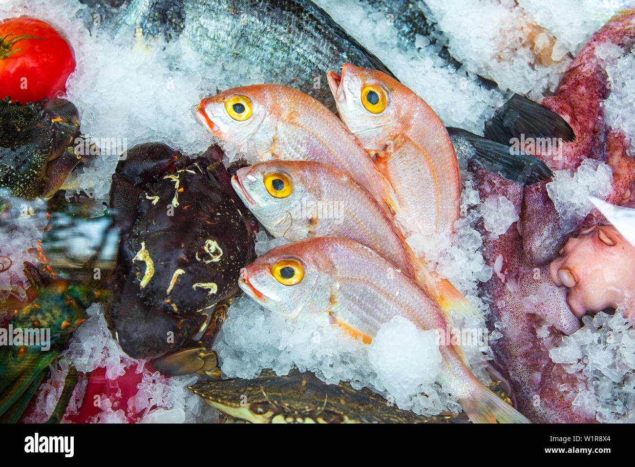 Meeresfrüchte auf Eis am Fischmarkt. Frische und rohe Fische auf Eis. Stockfoto