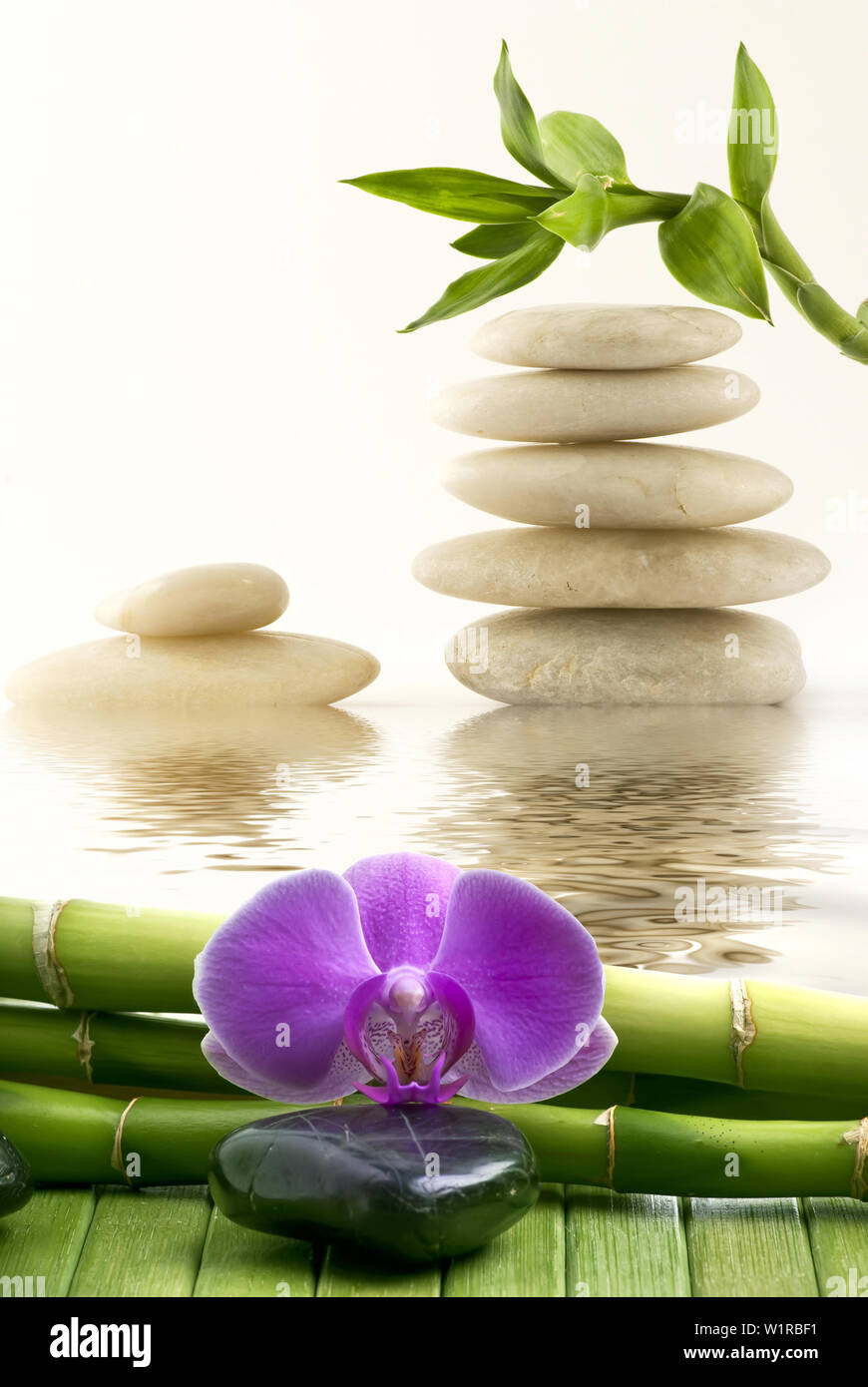 Wellness Umgebung mit schwarzem Stein, lila Orchidee und Bambus im  Vordergrund. Im Wasser, im Hintergrund, Stapel von Licht Steine mit r  Stockfotografie - Alamy