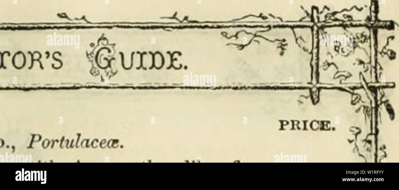 Archiv Bild von Seite 60 der Curtis, Cobb & Washburn's Amateur. Curtis, guide Cobb & Washburn's Amateur Kultivator zu den Blumen- und Gemüsegarten für 1878 curtiscobbwashbu 1878 Curt Jahr: 1878 "Ateur der Kultivator SPRAGUEA. Xat. Oho., Portuhceoe. Eine charmante Anlage, ähnlich der, mit Calanilrina Amaranthns - wie Blumen; extremelv frracel'ul Ami heautil'ul; Sehr eflective als edsiiifr und wertvolle für Rock-Arbeit; delifilitins; in einem Reich lehmige Öl. Hälfte - Hardy ainiual. 341 Spraguea Umbellata. Weiß, schattigen und mit lila gefleckt; von Cal. J ft. .25 Ich Aktien. (10 Wochen). Nat. Ord., Stockfoto