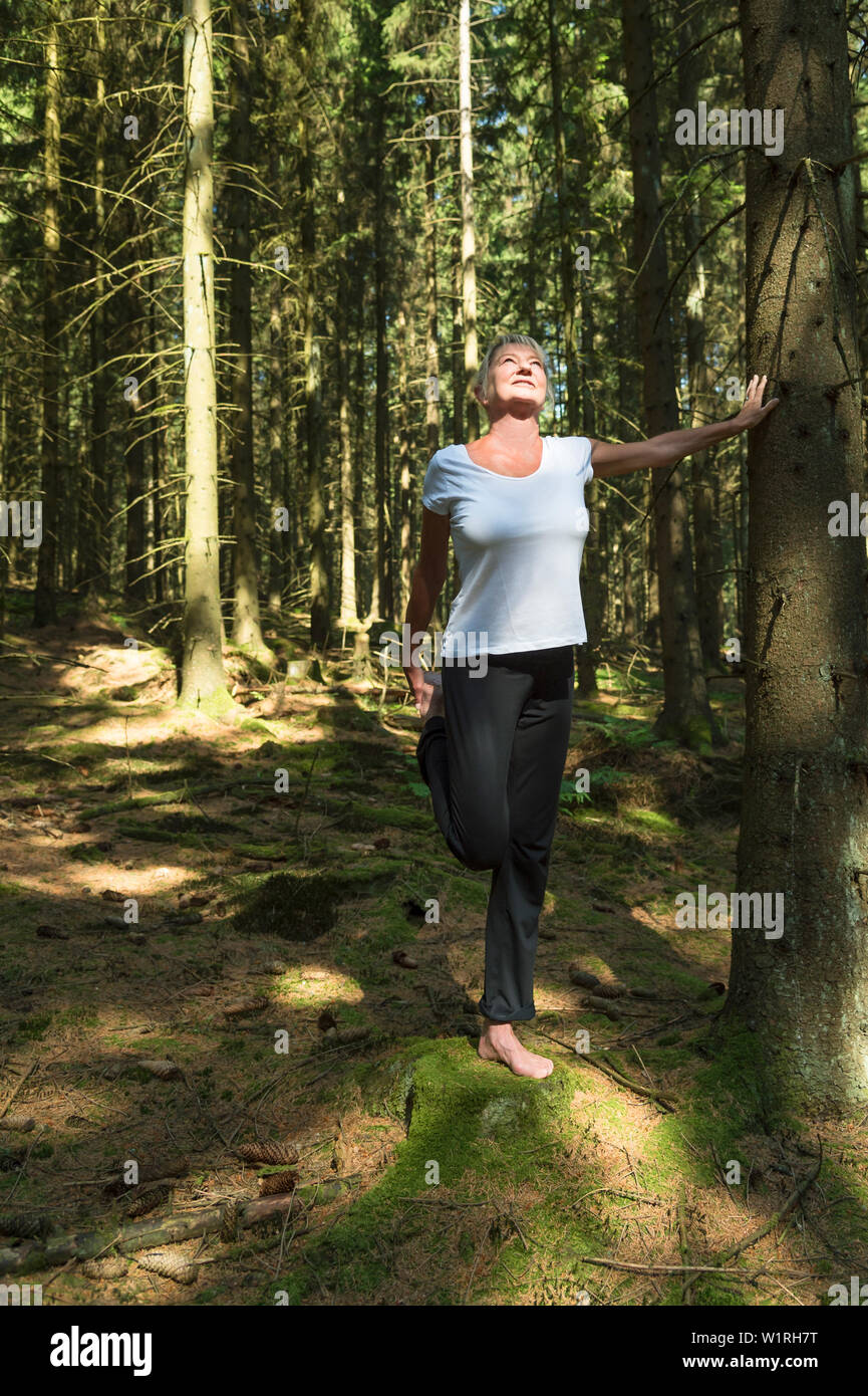 Den Wald Erleben Beim Baden Im Wald Shinrin Yoku Mit All Ihren den-wald-erleben-beim-baden-im-wald-shinrin-yoku-mit-all-ihren