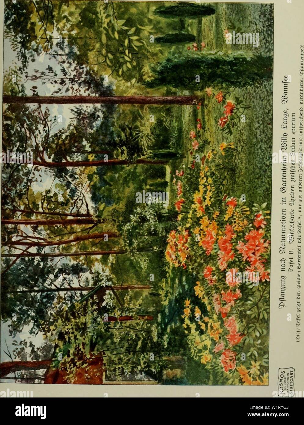 Archiv Bild von Seite 84 von Das Leben der Pflanze (1906). Das Leben der Pflanze daslebenderpflan 07 fran Jahr: 1906 Stockfoto