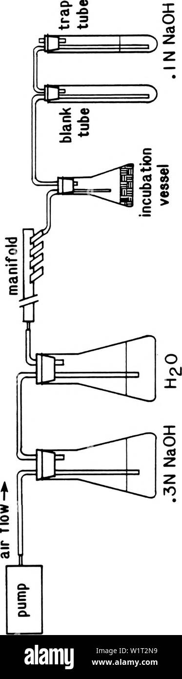 Archiv Bild von Seite 88 der Zersetzung, Funktion und Wartung von. Zersetzung, die Funktion und die Wartung der organischen Substanz in einer sandigen Baumschule Boden decompositionfun 00 muns Jahr: 1982 80 o C03 I&gt;/&gt; i/i0)&gt;c o J (0 12 3 U V c0 &Lt;4- bis c r03 R0 0) - C c w o 1/1 F-J0a) 01 u.0 3 01 u c&gt;-03 L.4-o03+ -&gt;&lt; 4-o L 3 u bis 03m E 4 - 0) O r u l/l 0 1 keine a o: &Lt; L + 3r0) o LL U Stockfoto