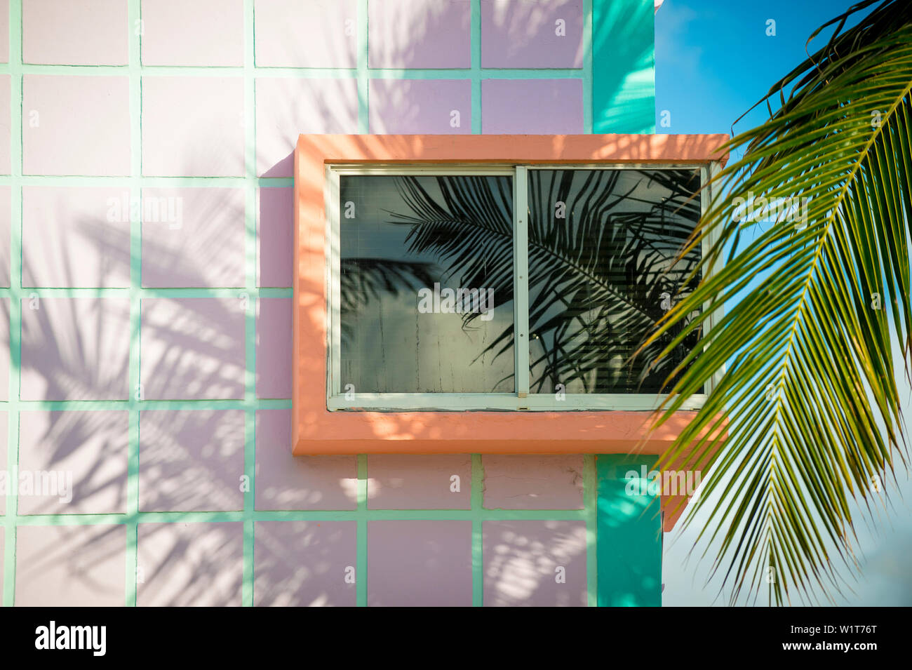 Schließen Detail der typischen bunten Art Deco Architektur mit tropischen Palmen Schatten in South Beach, Miami, Florida Stockfoto