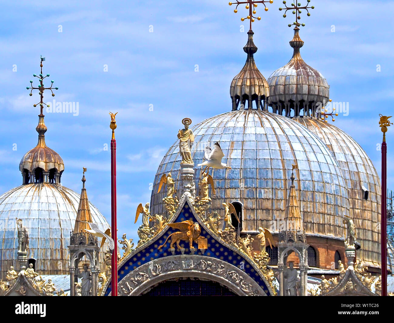 Eine Möwe fliegt vor St Marks Kathedrale in Venedig Stockfoto